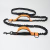 Hands-Free Dog Leash for Medium & Large Breeds