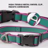 Tactical Dog Collar Medium & Large Dogs | Waterproof Odor-Proof Training Collar