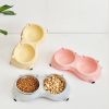 Dual Stainless-Steel Pet Bowls
