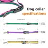 6-in-1 Hands-Free Dog Leash – Multifunction Adjustable Waist & Shoulder Walking Lead