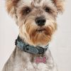 Metal Pet ID Tags with Pink Bone Shape for Dogs