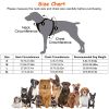 Light Up Dog Harness LED Rechargeable | No Pull Safety Vest with Handle for Dogs