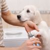 Dog Nail Clippers with Safety Guard & Free Nail File