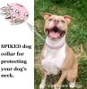 Spiked Leather Studded Dog Collar Adjustable Anti-Bite Protection