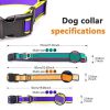 Tactical Dog Collar Medium & Large Dogs | Waterproof Odor-Proof Training Collar